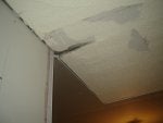 DSC08491.jpg