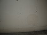 DSC08499.jpg